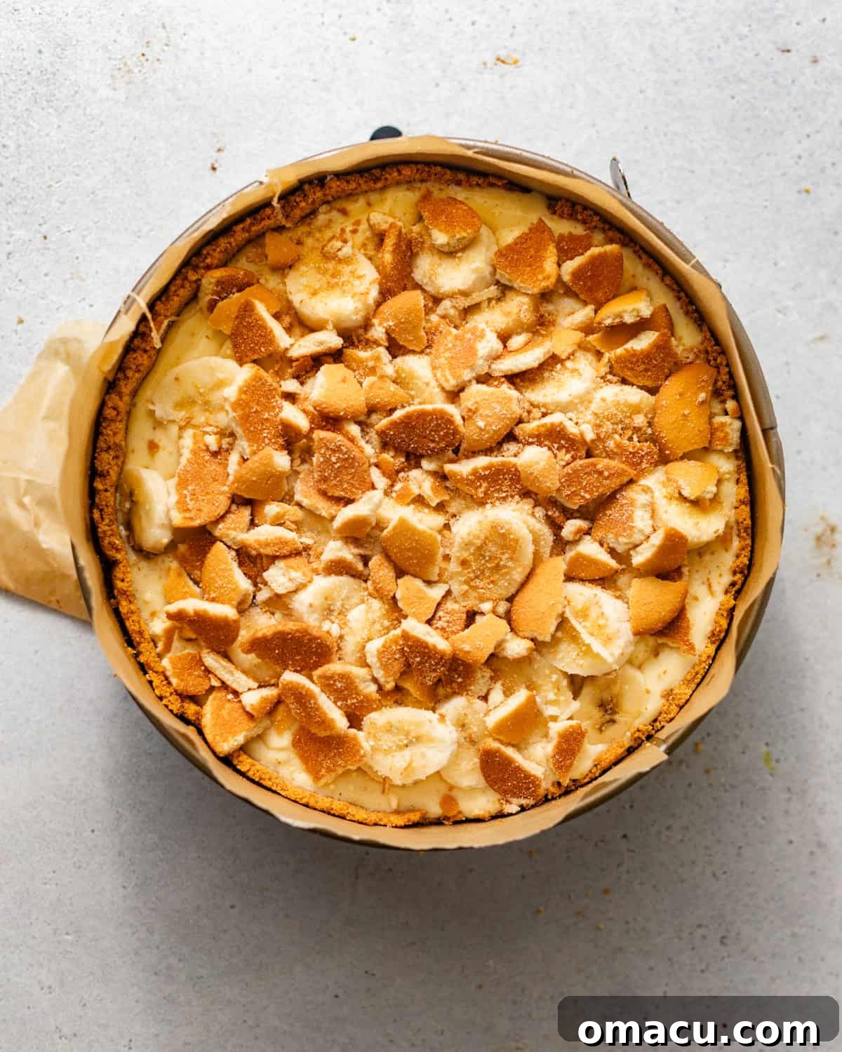 The banana pudding cheesecake partially assembled in a springform pan, showing a layer of fresh banana slices and crushed Nilla wafers nestled within the filling.