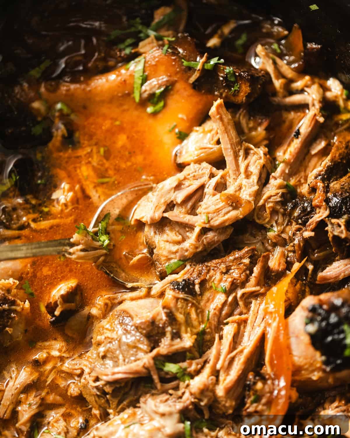 pork roast in a slow cooker.
