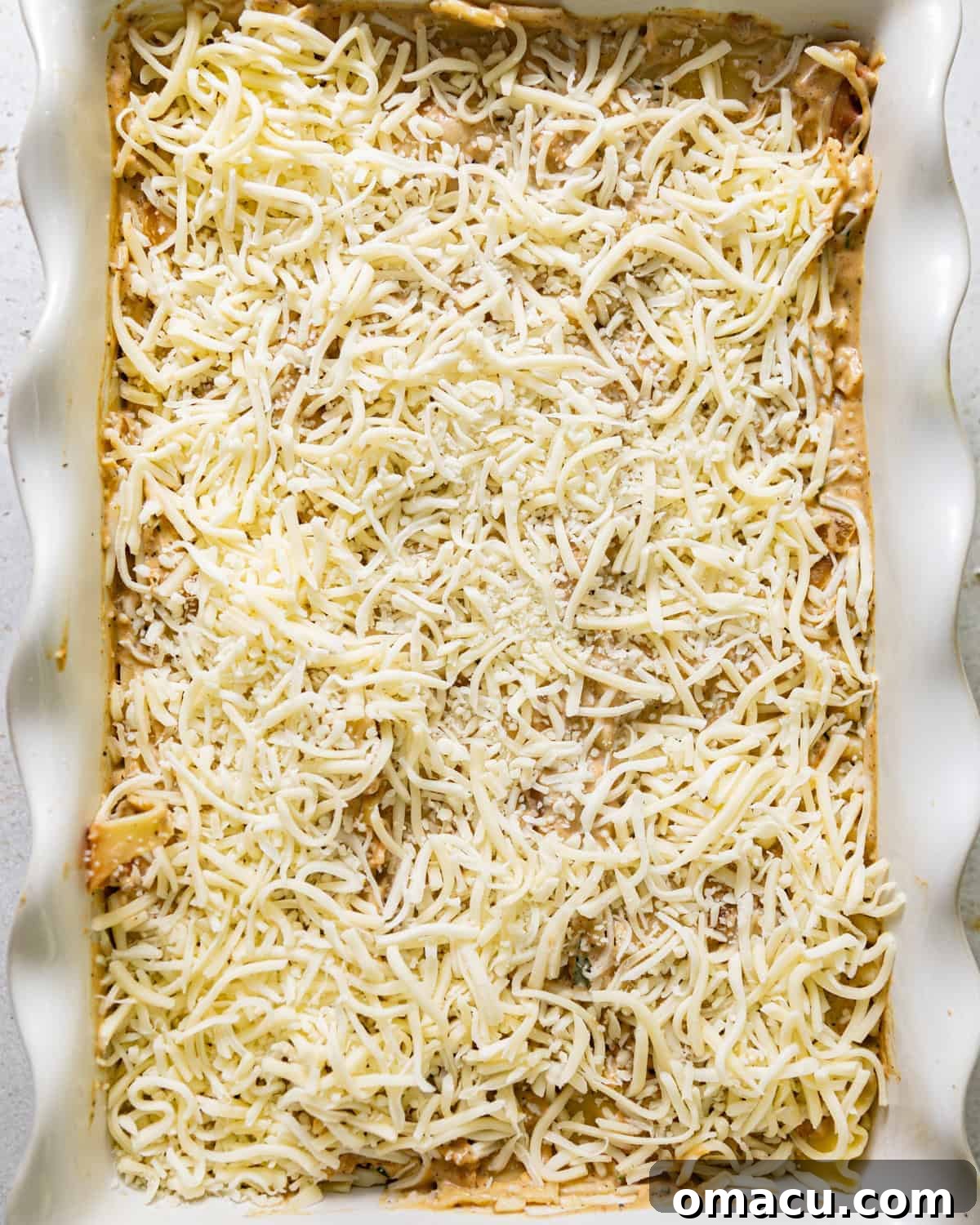 chicken and broccoli alfredo assembled in a baking dish topped with mozzarella cheese.