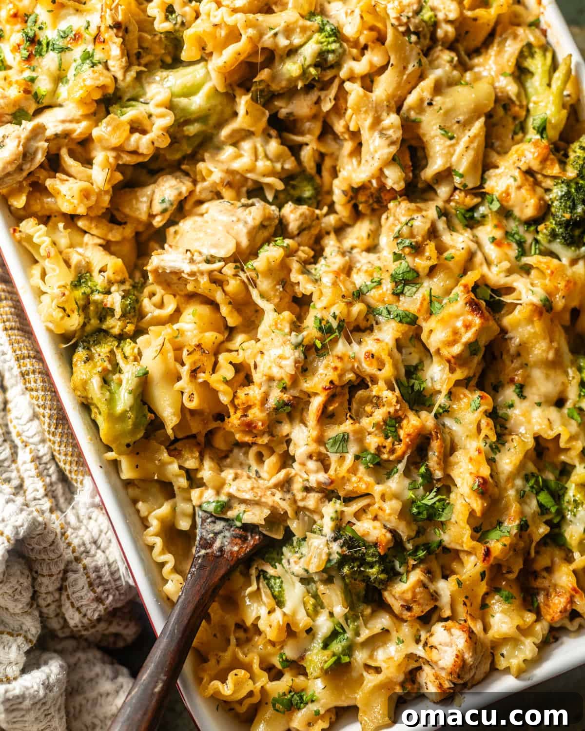 overhead photo of baked chicken and broccoli alfredo in a casserole dish. 
