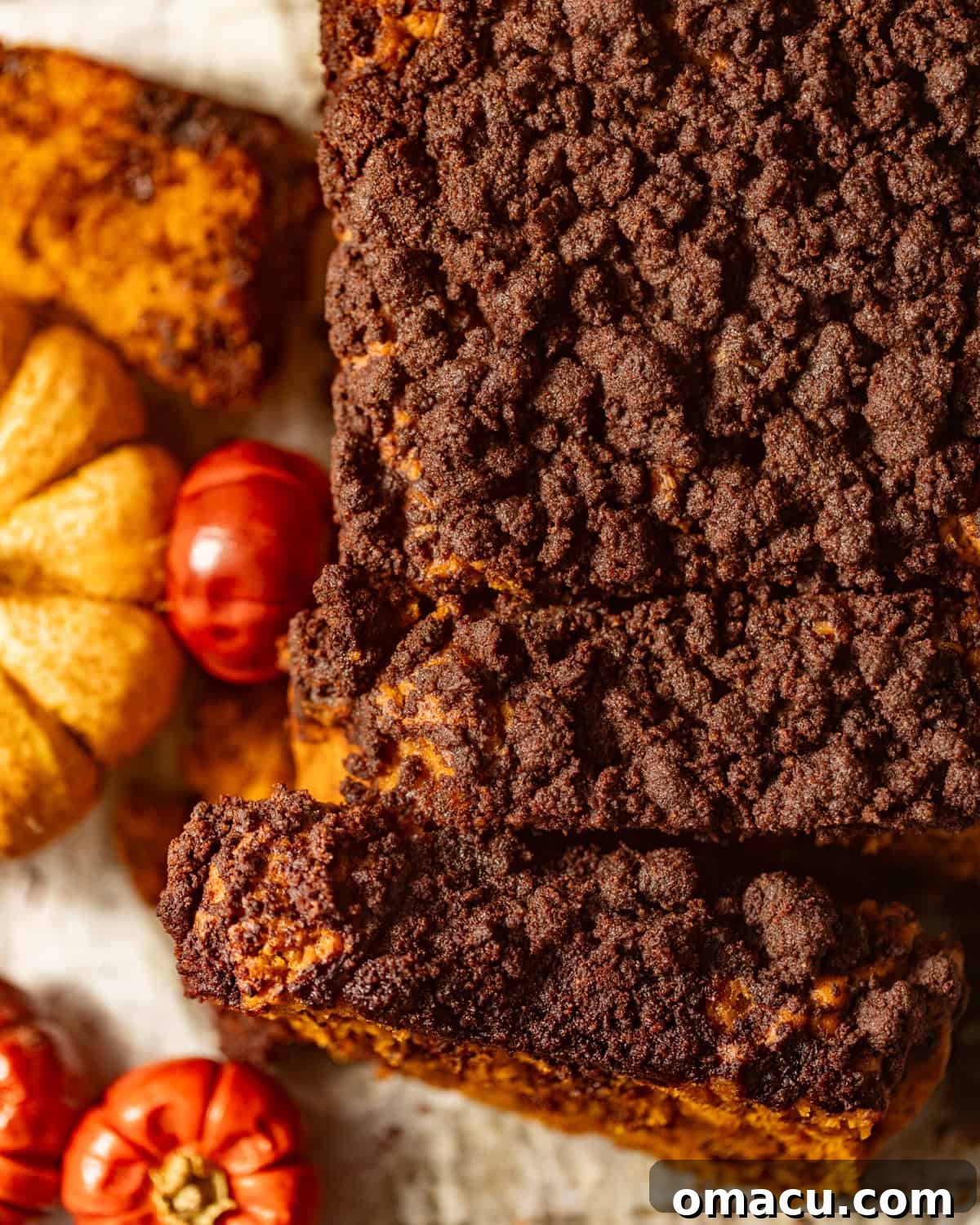 Overhead view of the rich chocolate streusel topping on a baked chocolate chip pumpkin bread.