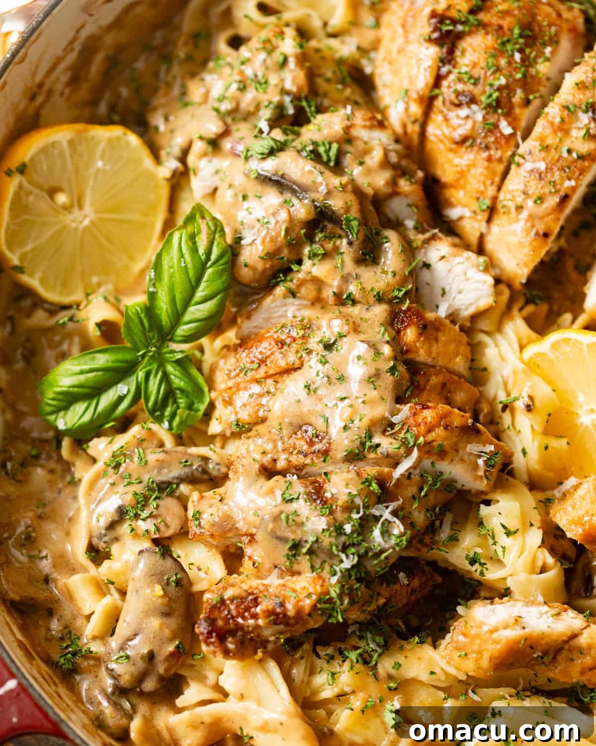 A beautifully plated dish of creamy Chicken Marsala Fettuccine, garnished with fresh herbs, showcasing the rich sauce and tender chicken.