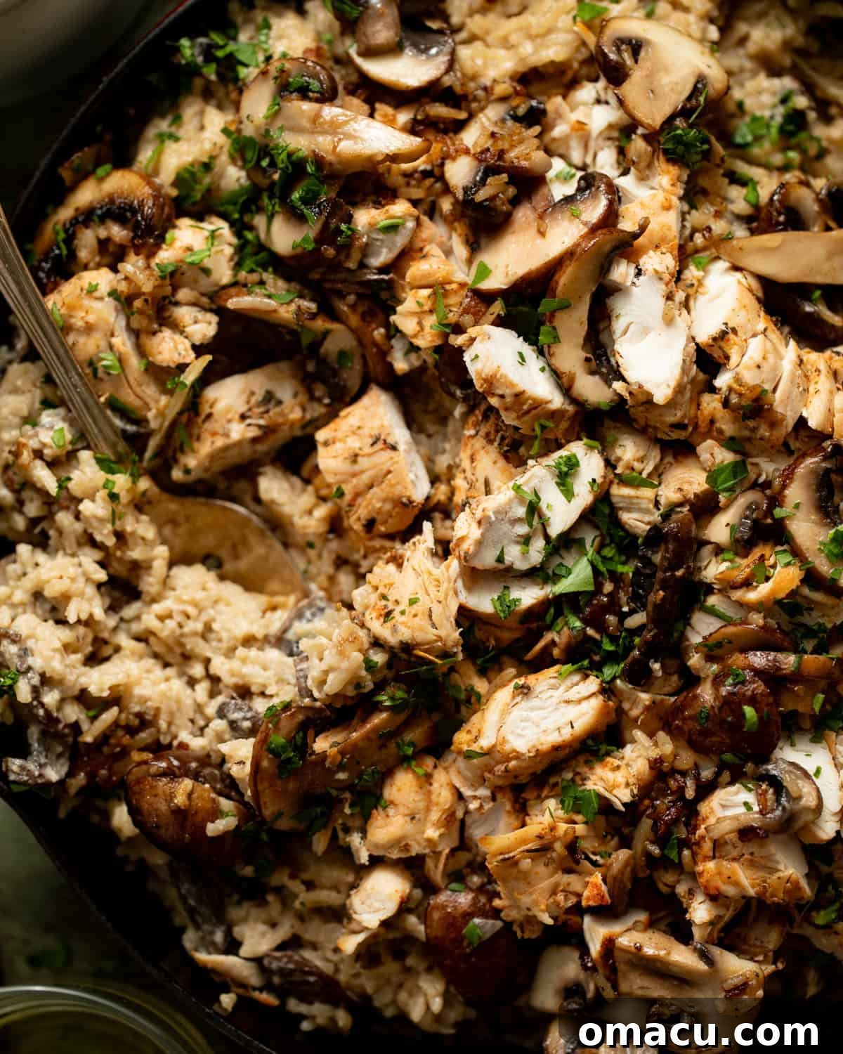 up close photo of creamy mushroom chicken and rice.