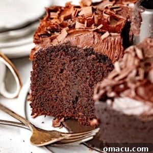 A delicious slice of chocolate espresso cake on a cake plate topped with espresso fudge frosting.