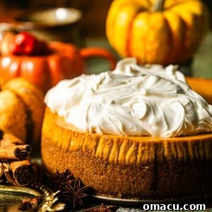 pumpkin cheesecake with cinnamon whipped cream and a graham cracker crust on a wooden surface surrounded by pumpkins.