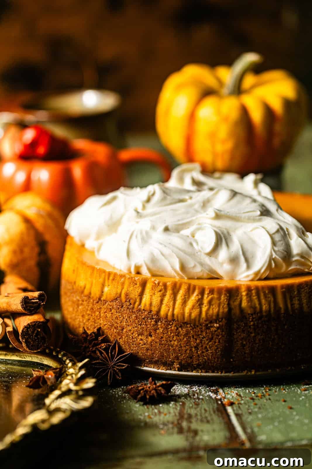 pumpkin cheesecake with cinnamon whipped cream and a graham cracker crust on a wooden surface surrounded by pumpkins.