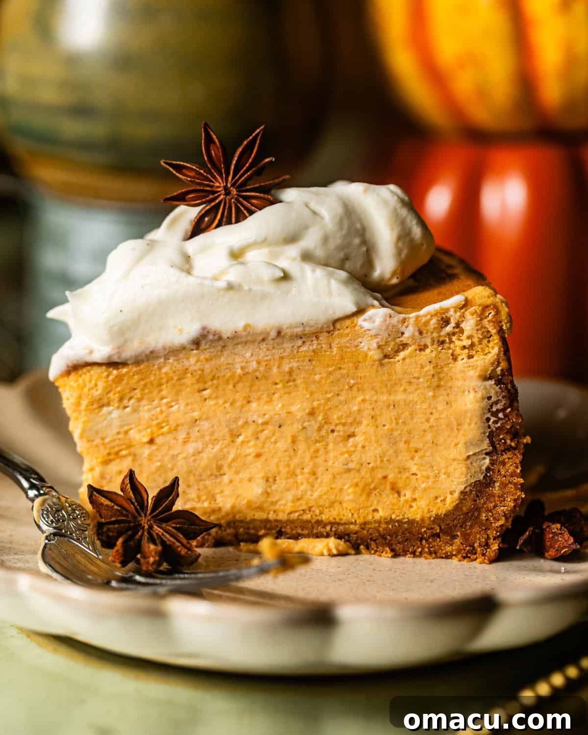 a slice of pumpkin cheesecake on a serving plate topped with whipped cream and a star anise pod. 