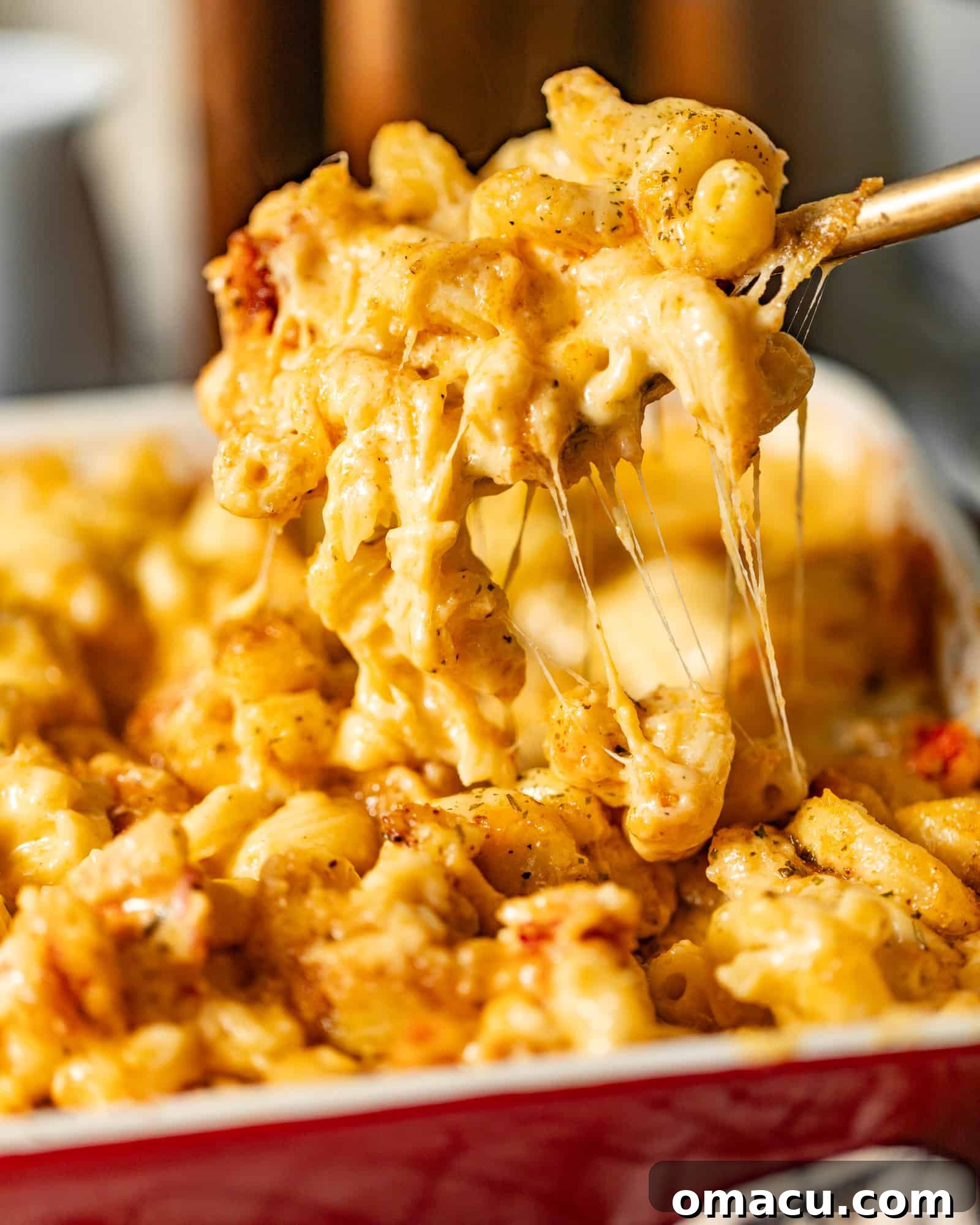 lobster mac and cheese in a casserole dish being scooped out onto a spoon so that you can see the cheese pull