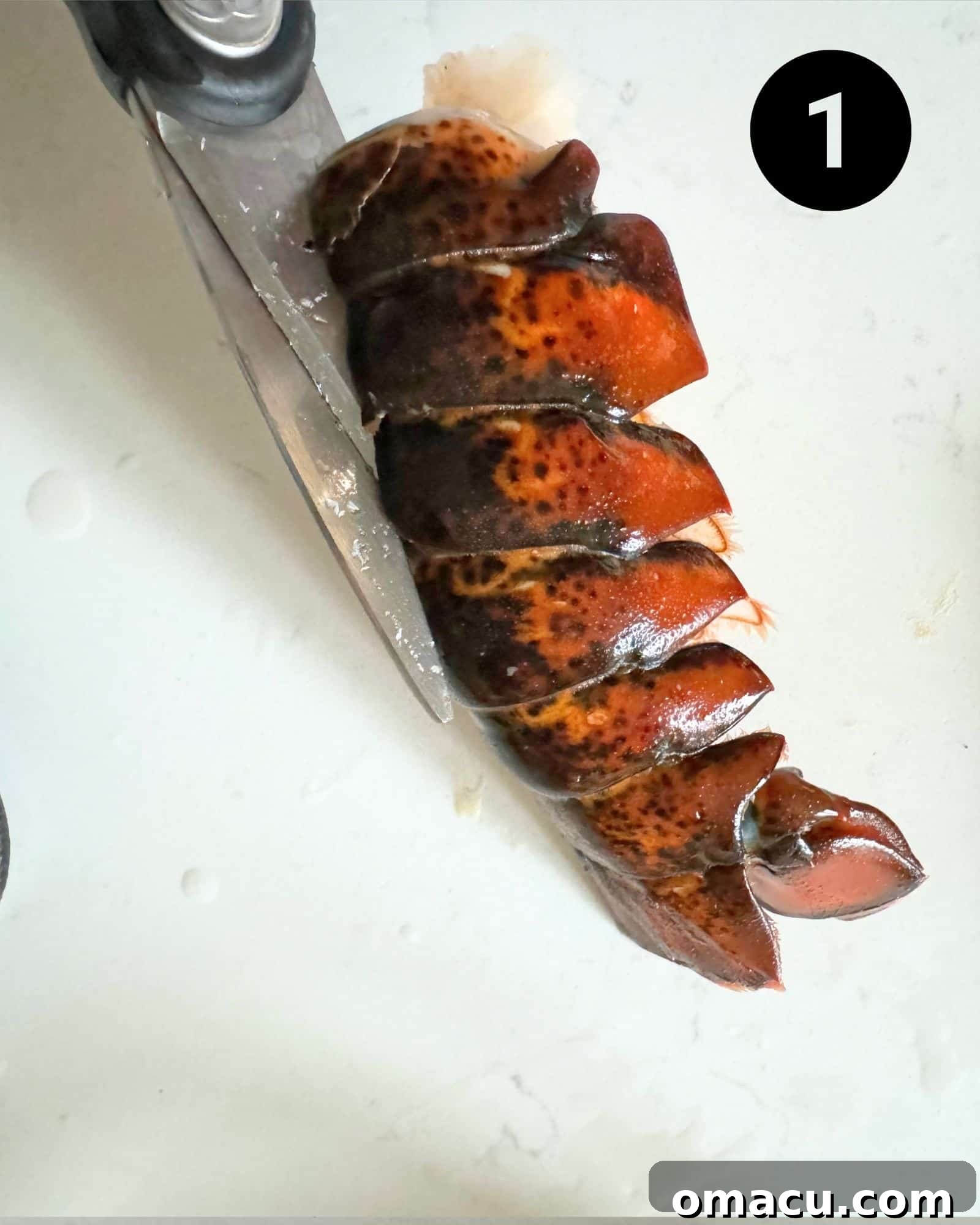 a lobster tail being cut in half