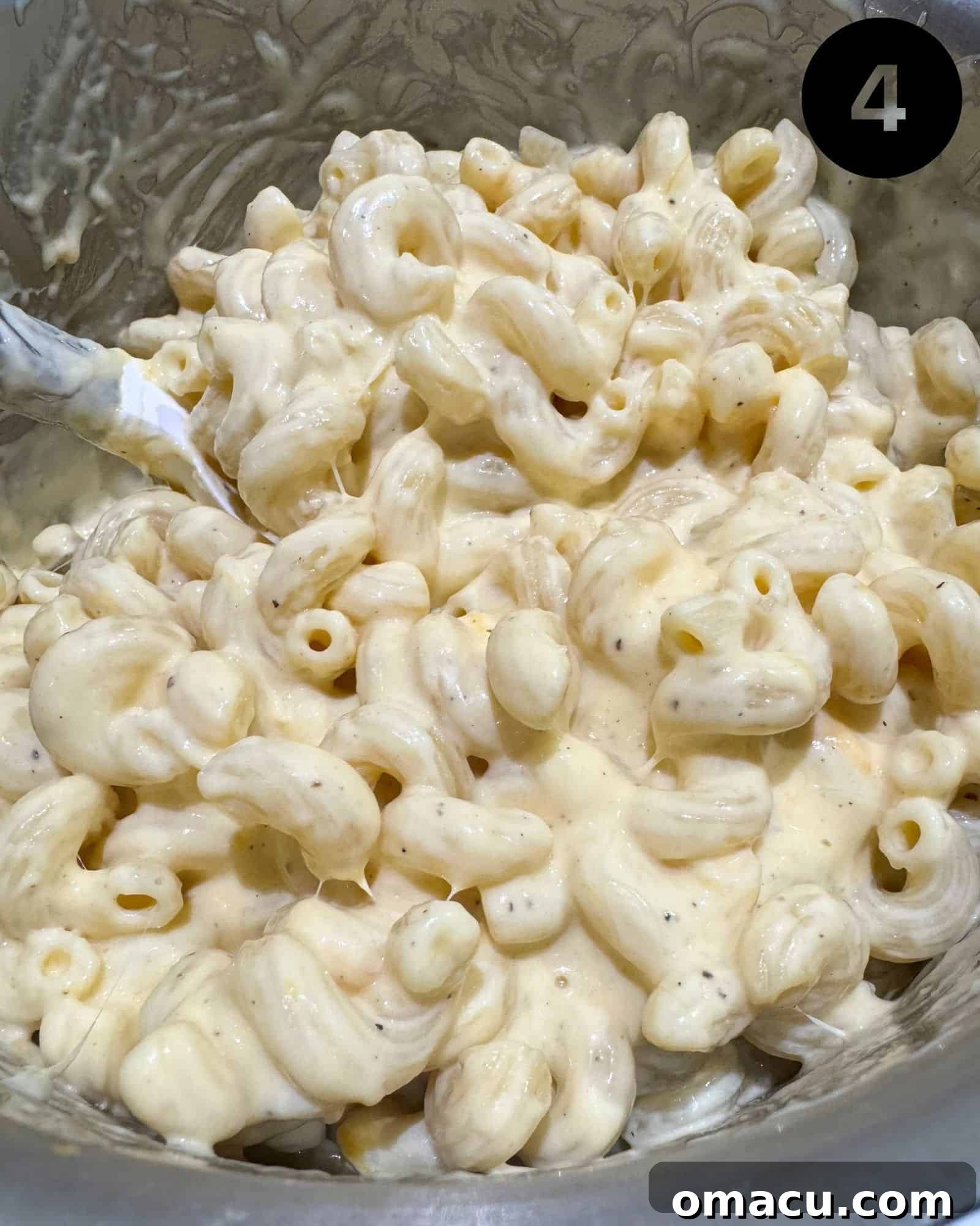macaroni pasta coated in bechamel sauce