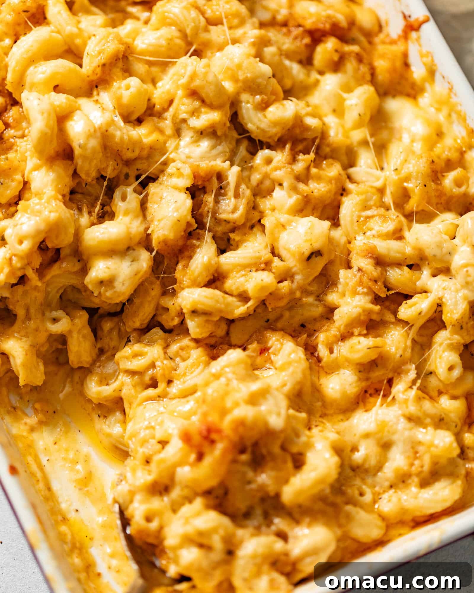 overhead photo of lobster mac and cheese