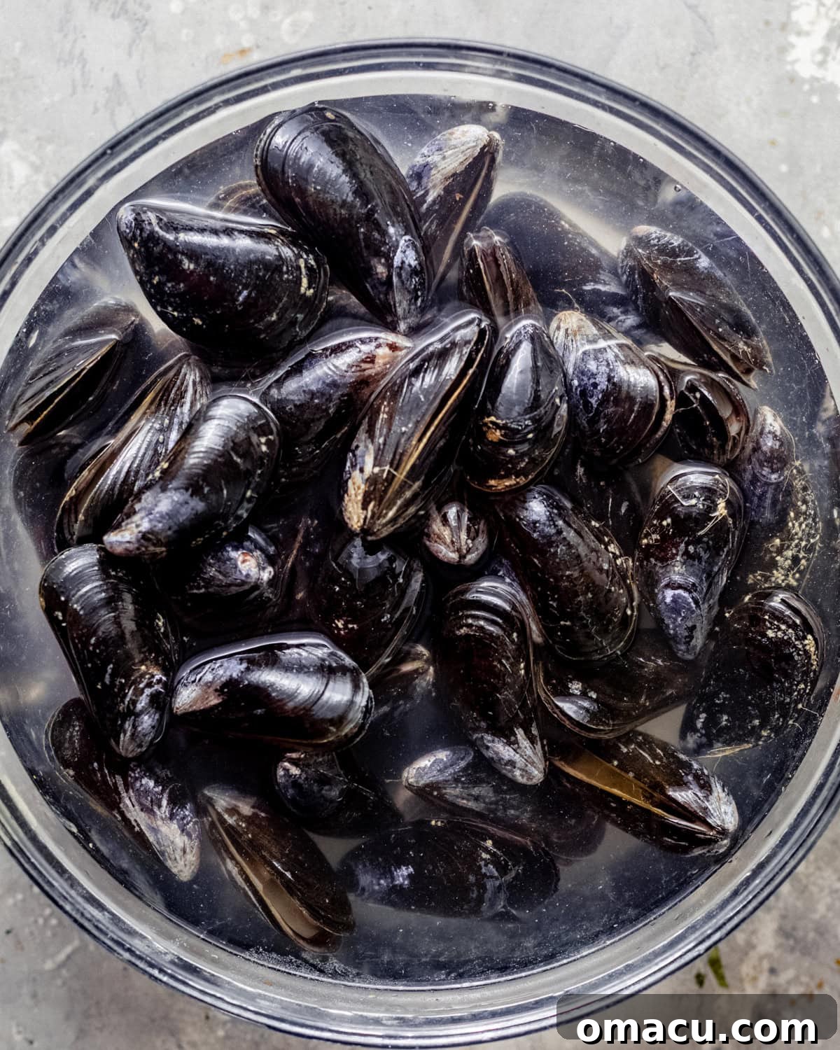 Mussels in a large bowl soaking in salted water to purge sand.