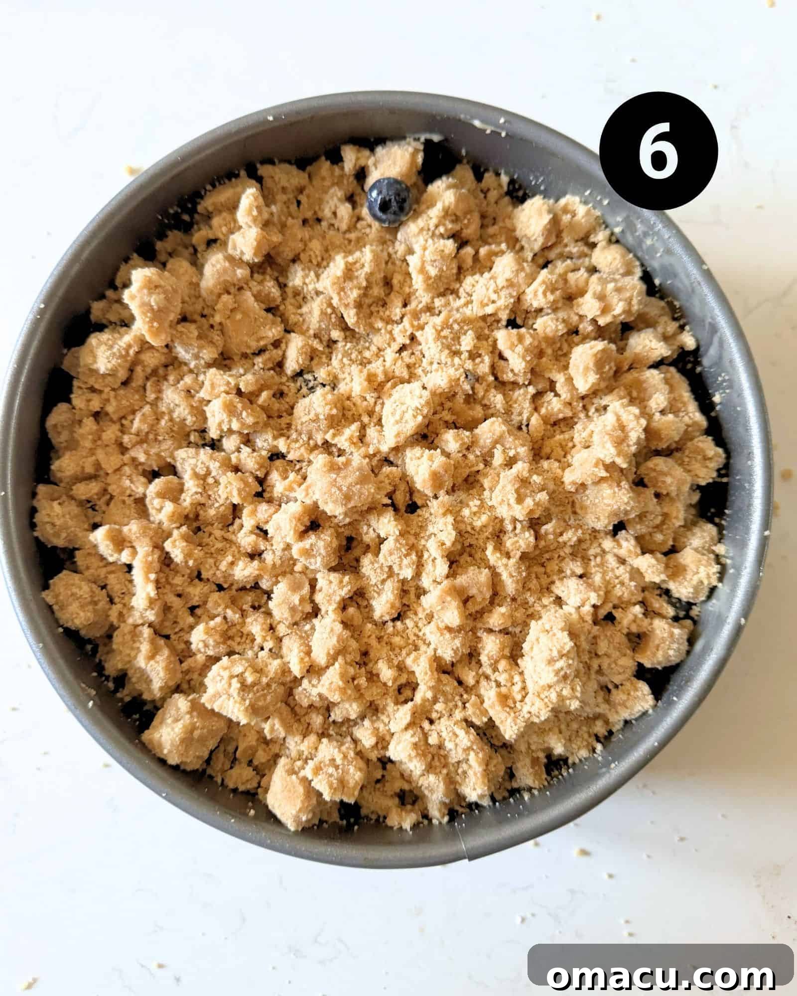 The assembled blueberry coffee cake in a springform pan, with fresh blueberries and the streusel layer generously sprinkled on top, ready for baking.