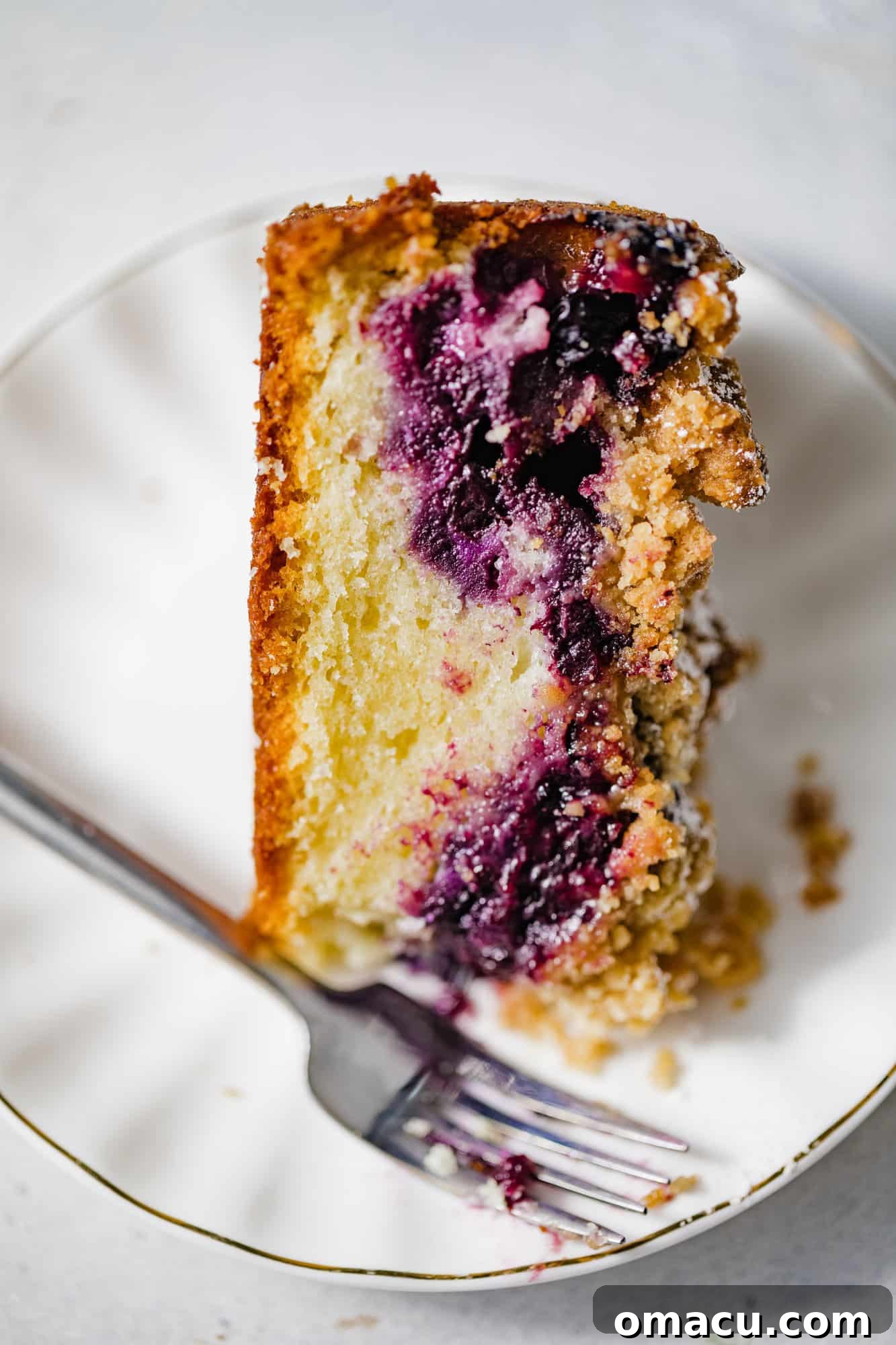 A delectable slice of blueberry sour cream coffee cake served on a simple white plate with a fork, ready to be enjoyed.