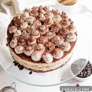 No-Bake Tiramisu Cheesecake prepared with layers of coffee-flavored filling and ladyfingers, topped with whipped cream and cocoa.