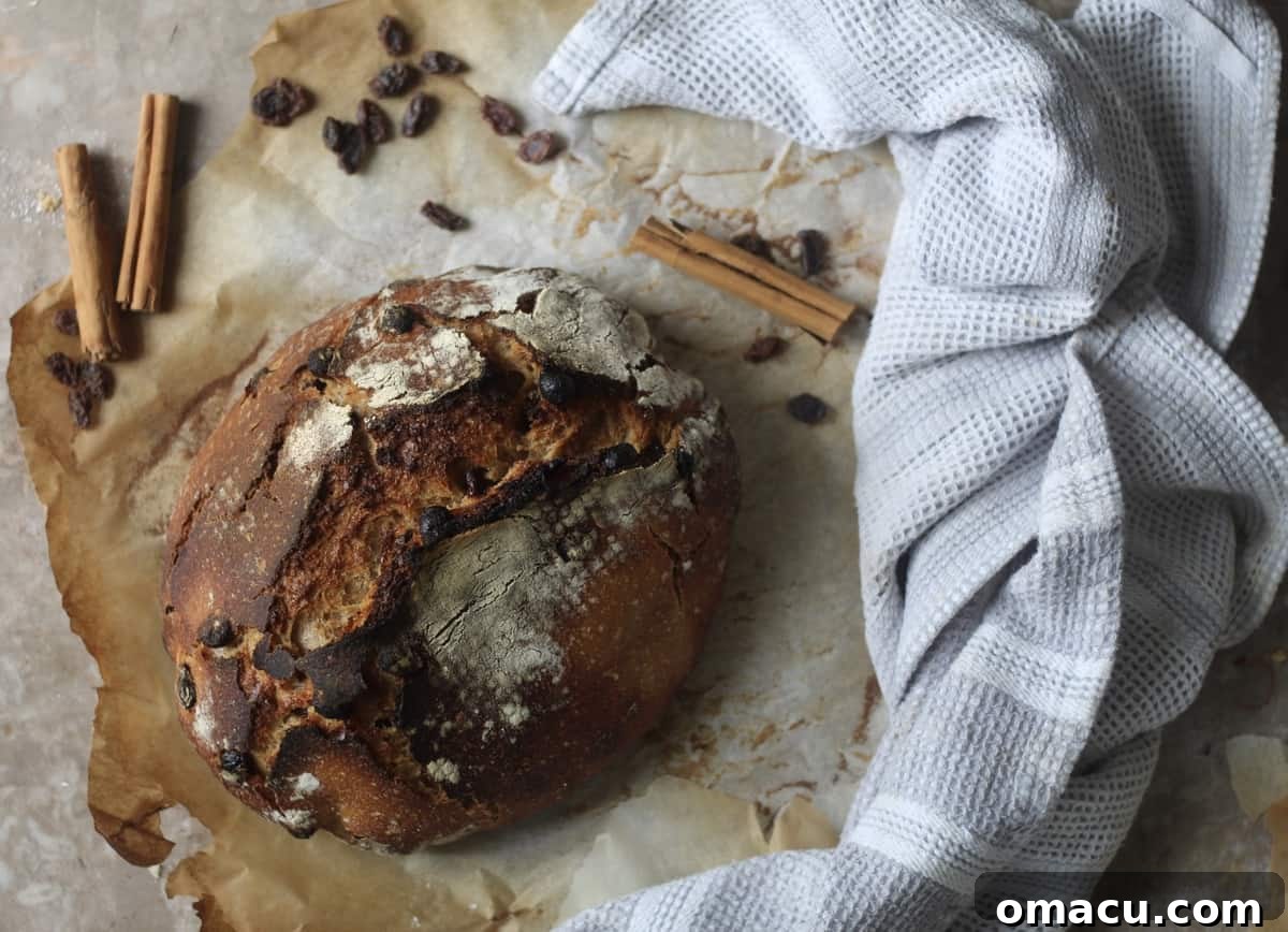Two golden-brown loaves of cinnamon raisin sourdough bread, one sliced to show its airy crumb and juicy raisins.