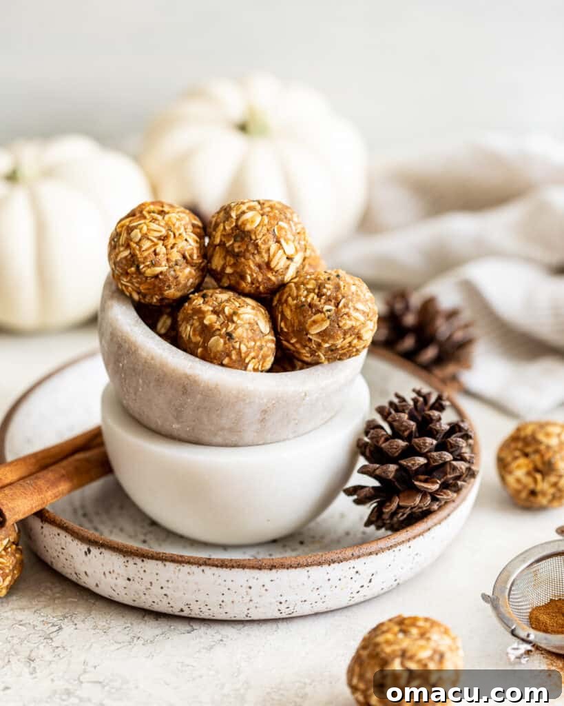 Front photo of chai spiced energy bites artfully arranged with autumn pumpkins in the background, highlighting the cozy fall flavors.
