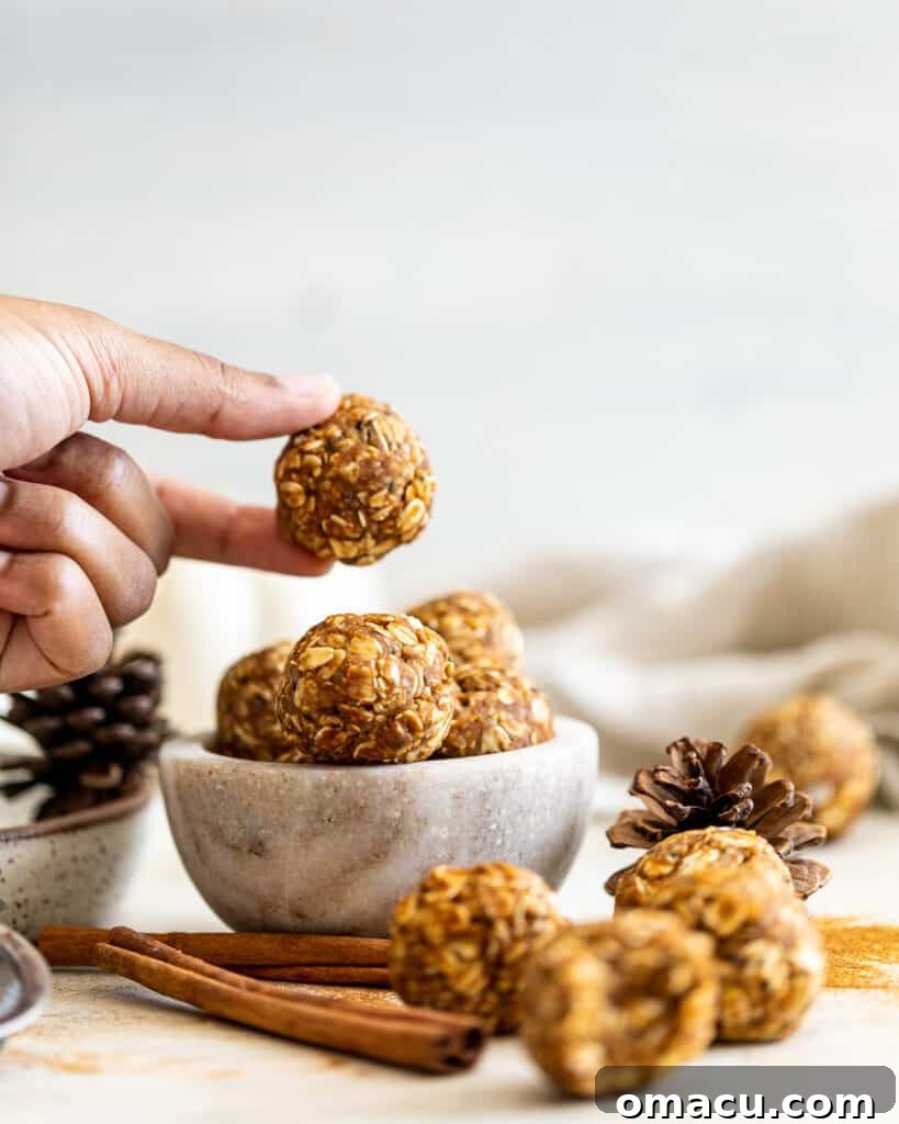 A bowl filled with freshly made chai spiced energy bites, with one being carefully picked up by hand, showcasing their perfect snackable size.