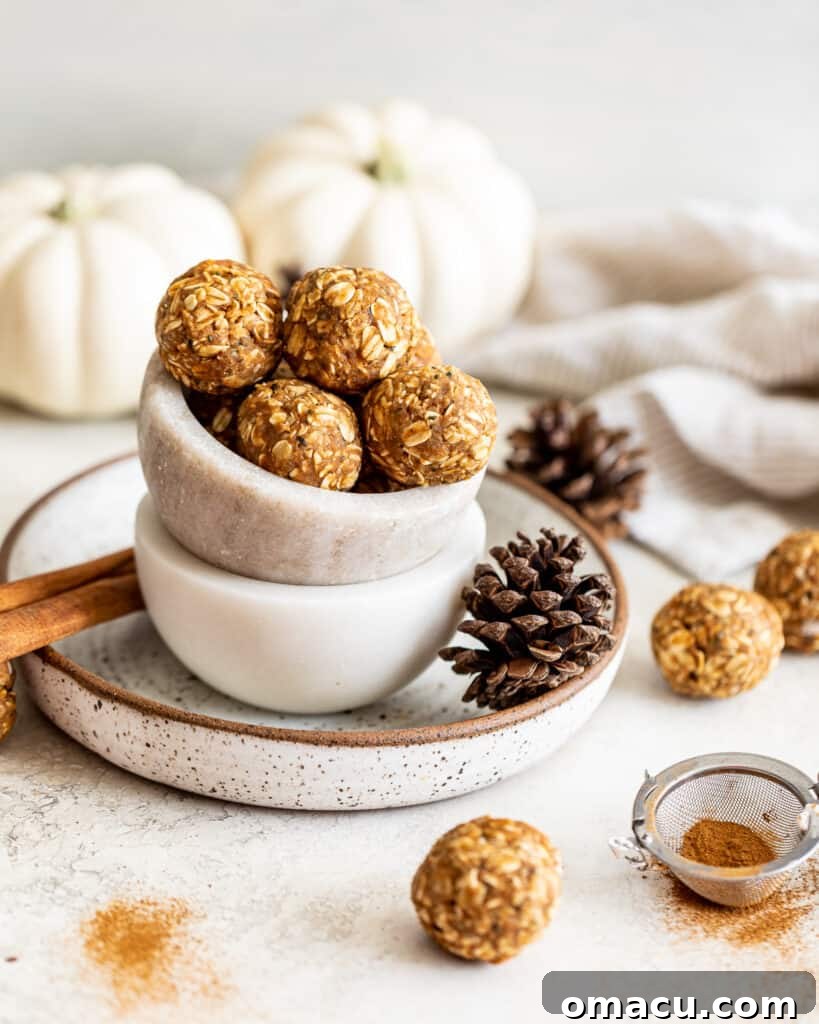 Overhead photo of a generous serving of chai spiced energy bites in a decorative bowl, ready for consumption.