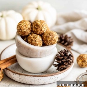 front photo of chai spiced energy bites with pumpkins in the background