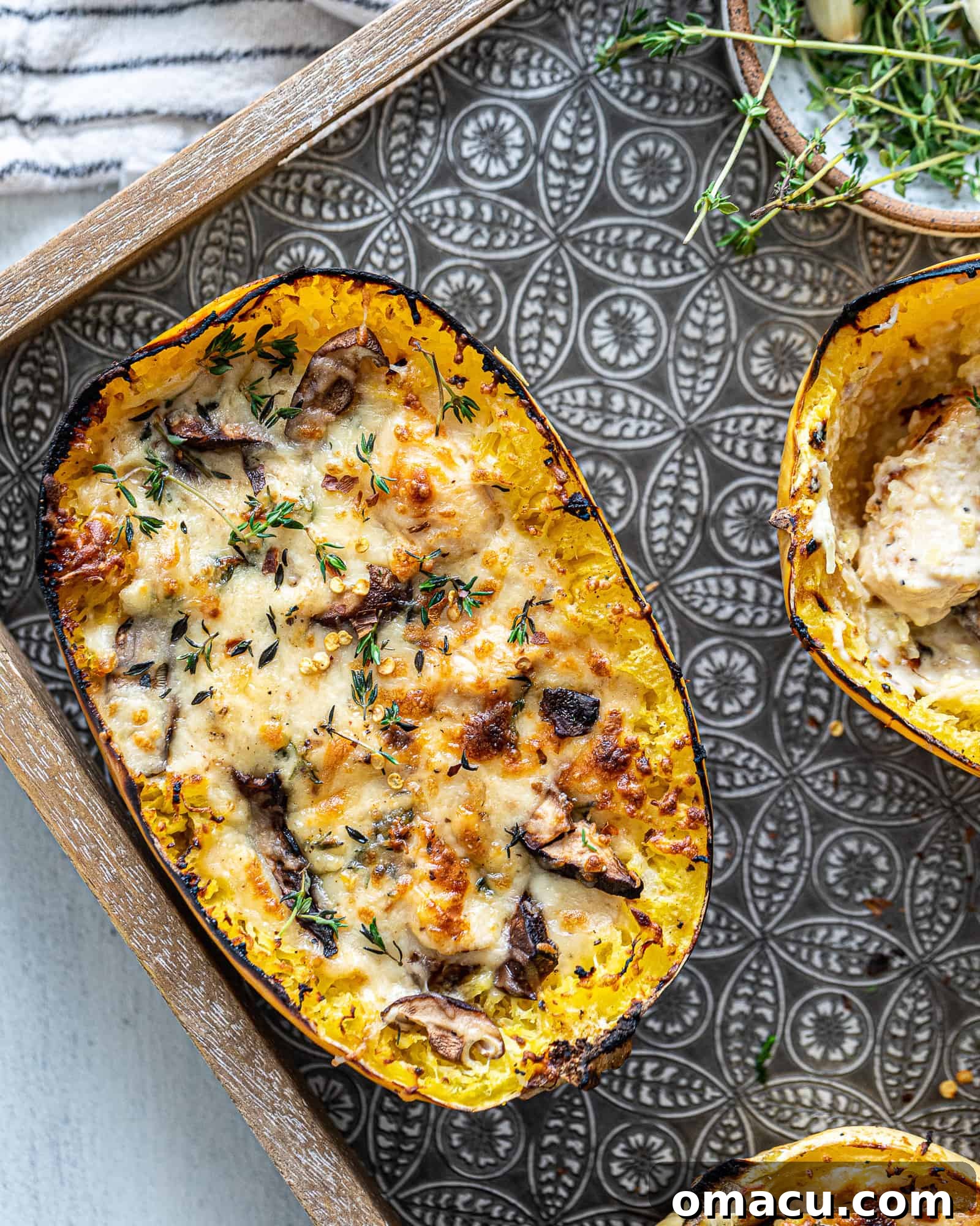 A beautifully plated serving of Chicken Alfredo Spaghetti Squash, ready to be enjoyed.
