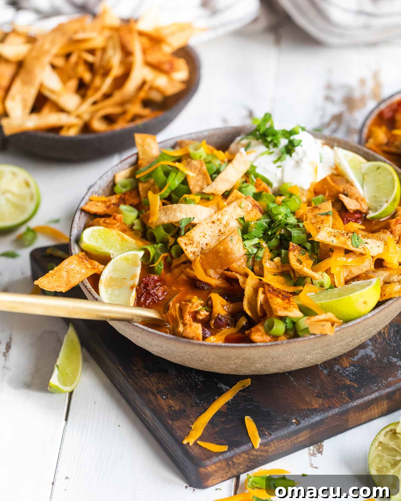 spicy chicken tortilla soup