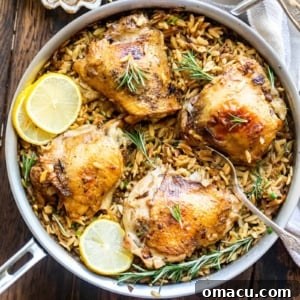 overhead image of chicken in a pan with orzo