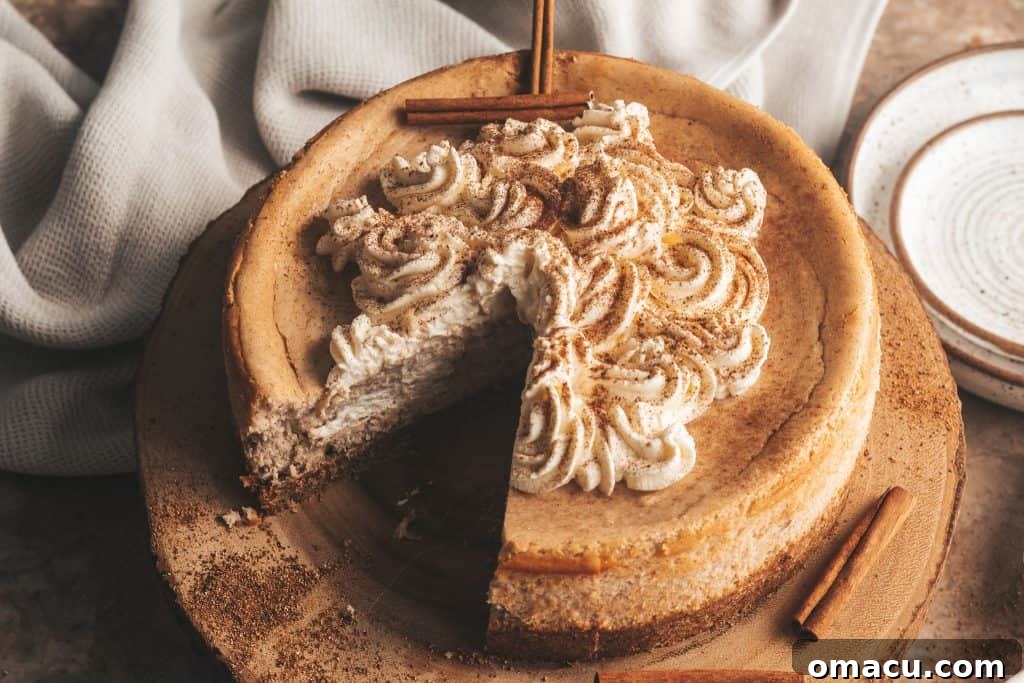 Snickerdoodle Cheesecake garnished with cinnamon and cookie crumbs, glistening and inviting.