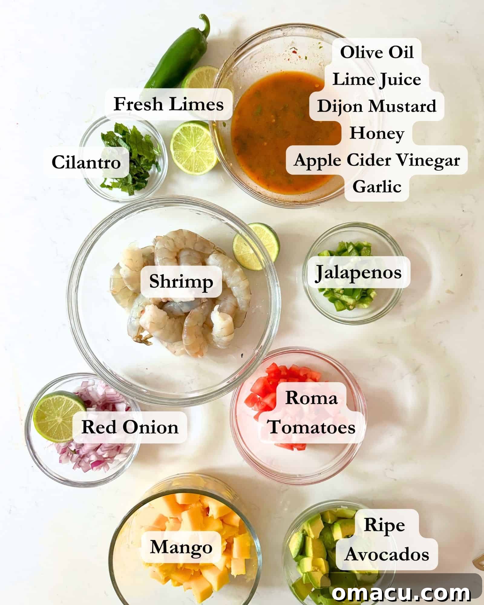 A colorful array of fresh ingredients laid out for mango shrimp salad: sweet mangos, raw shrimp, vibrant jalapeños, red onion, fresh cilantro, creamy avocado, Roma tomatoes, juicy limes, olive oil, golden honey, apple cider vinegar, minced garlic, Dijon mustard, chili powder, red pepper flakes, and fresh lime juice.