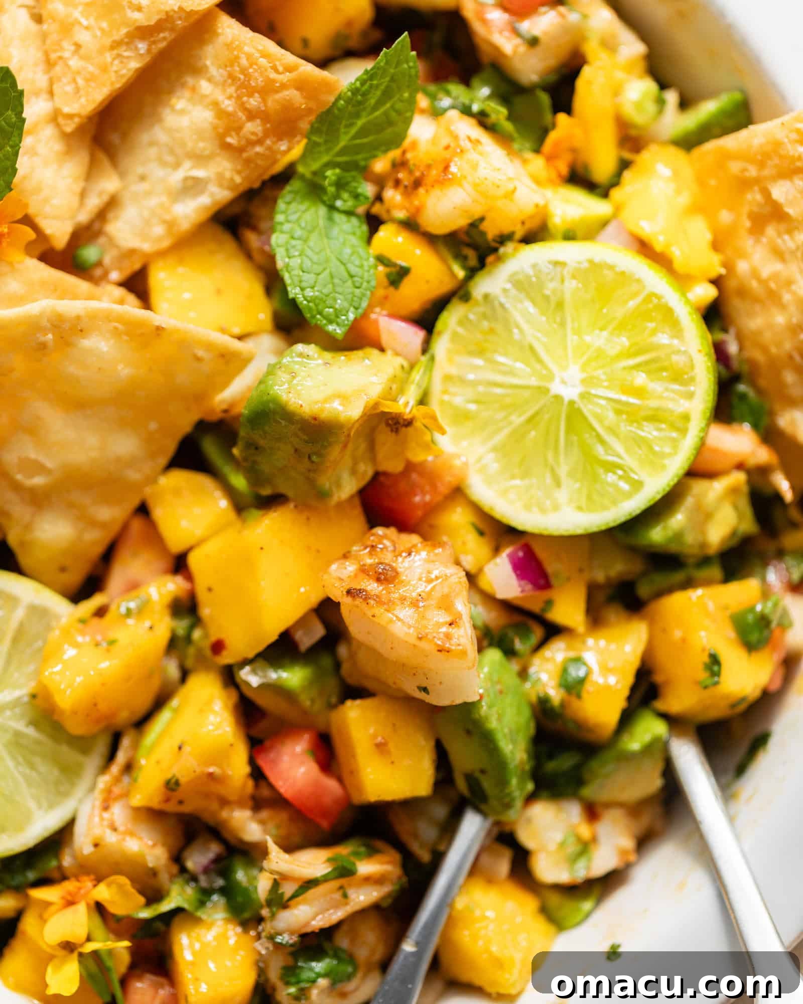 An inviting close-up photo of the mango shrimp salad in a bowl, with a spoon nestled in, highlighting its vibrant textures and colors.