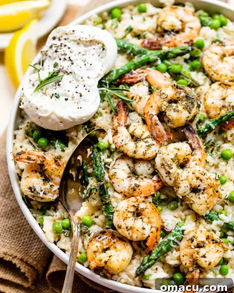 Shrimp and risotto in a bowl with burrata and vegetables