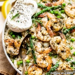 Shrimp and risotto in a bowl with burrata and vegetables