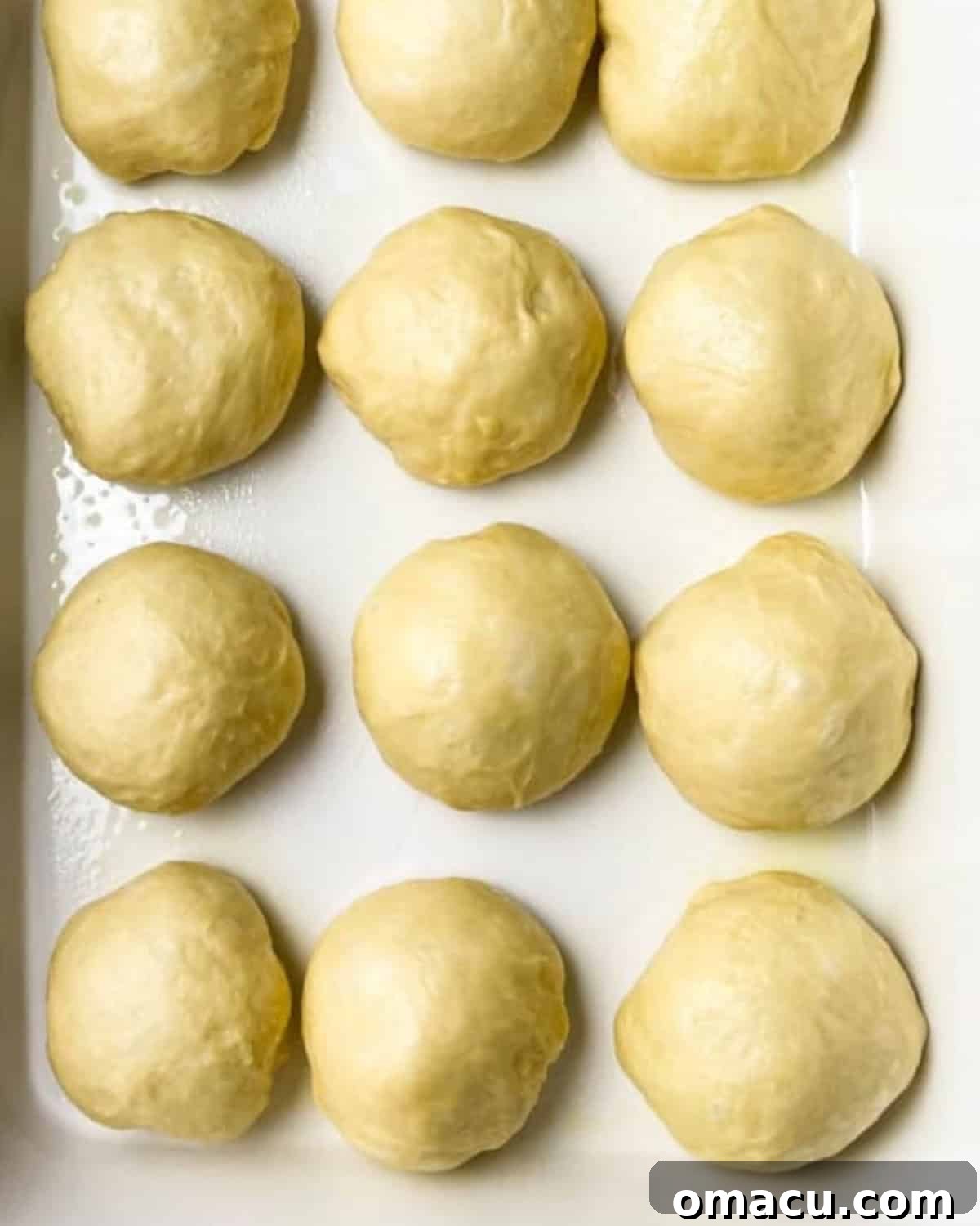 Small, round Hawaiian rolls arranged neatly in a 9x13 baking dish, ready for their second proofing.
