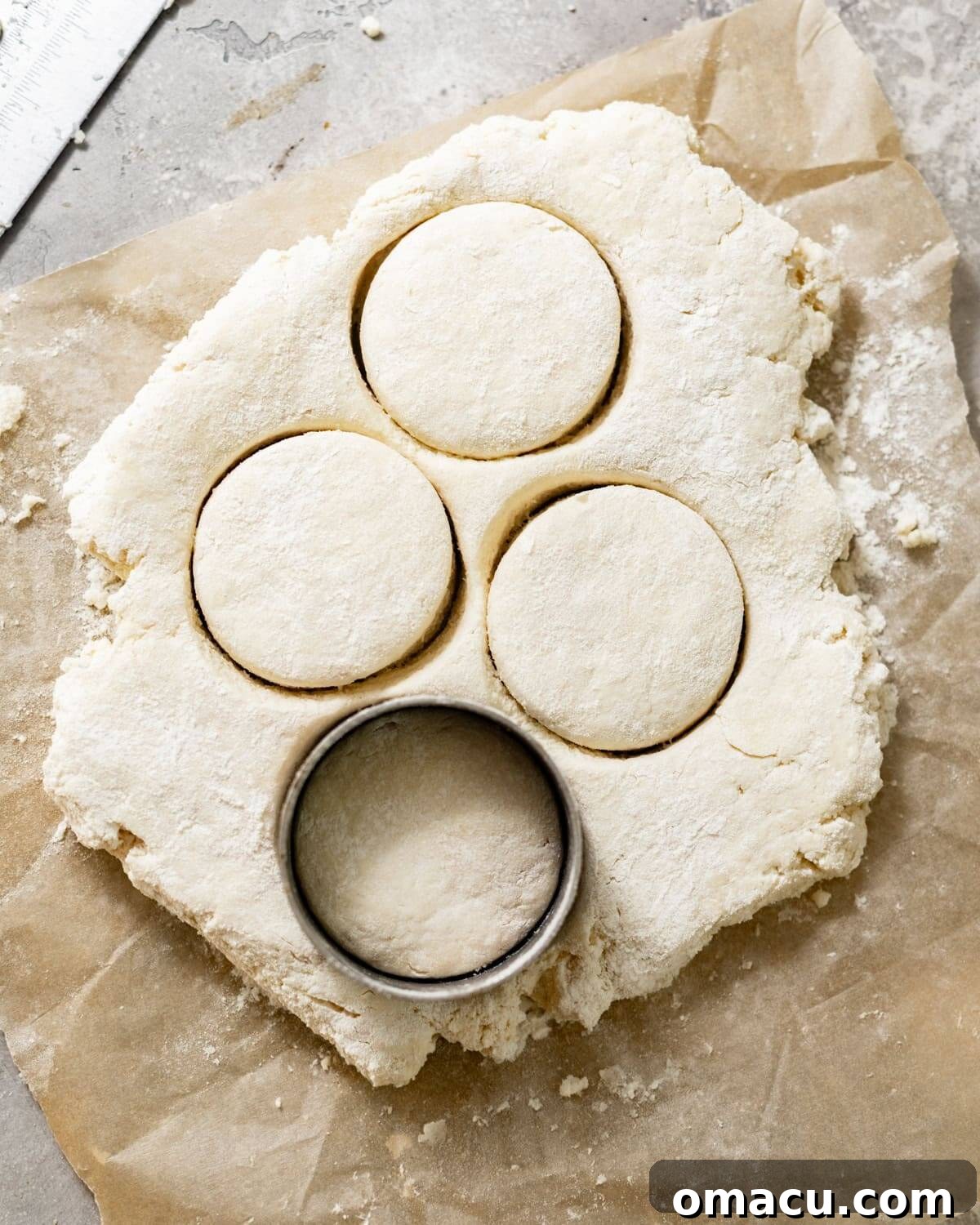 Biscuits cut out of the dough on a baking sheet.