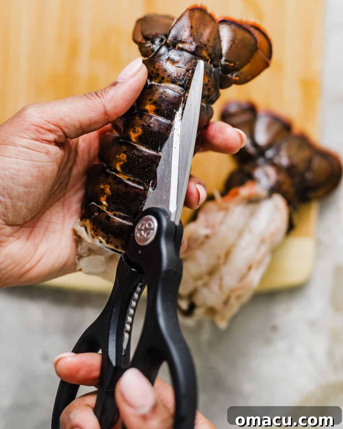 Kitchen shears cutting the shell of a lobster to remove the meat.