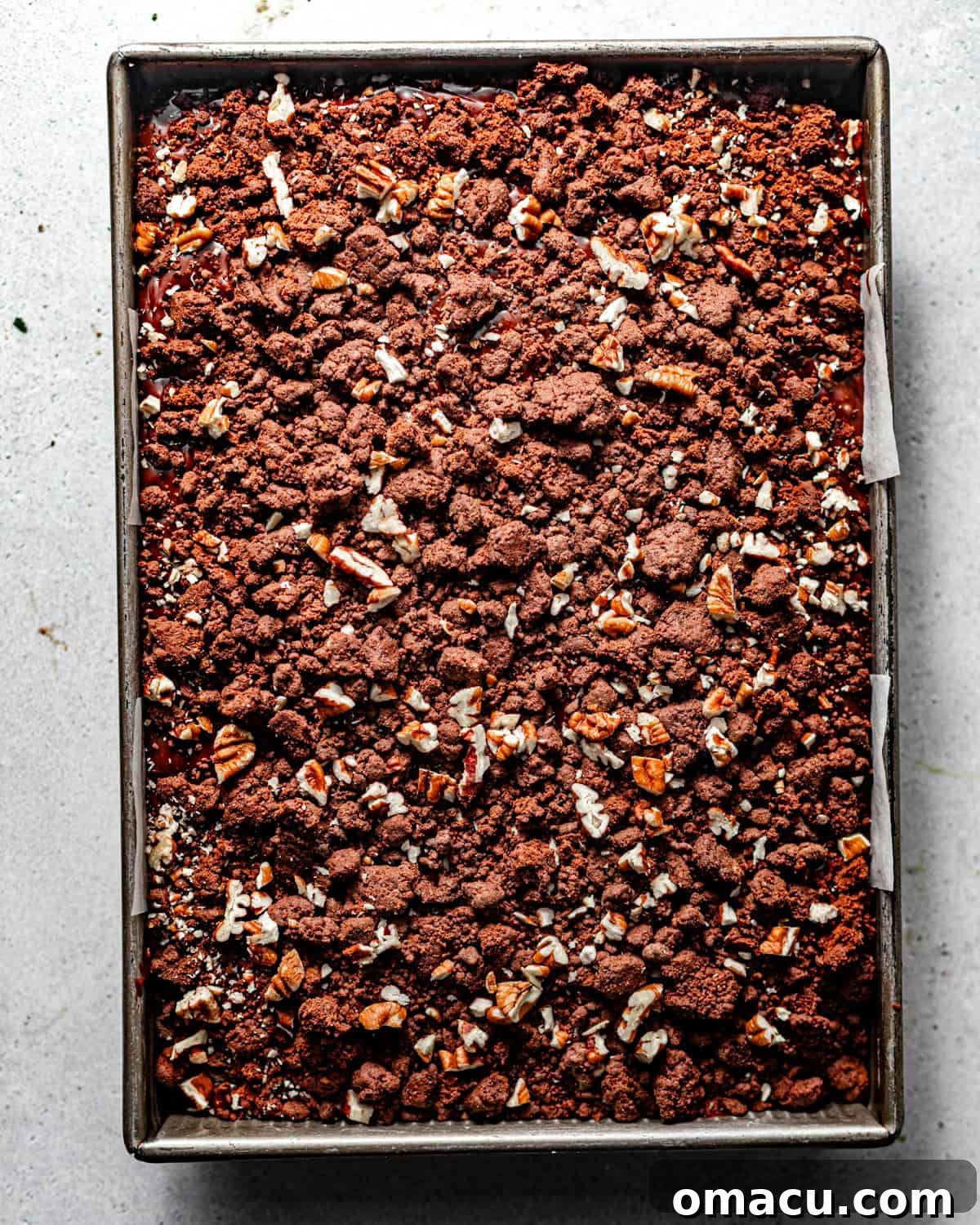 texas chocolate sheet cake in a baking pan topped with fudge frosting and chocolate crunch and chopped pecans.