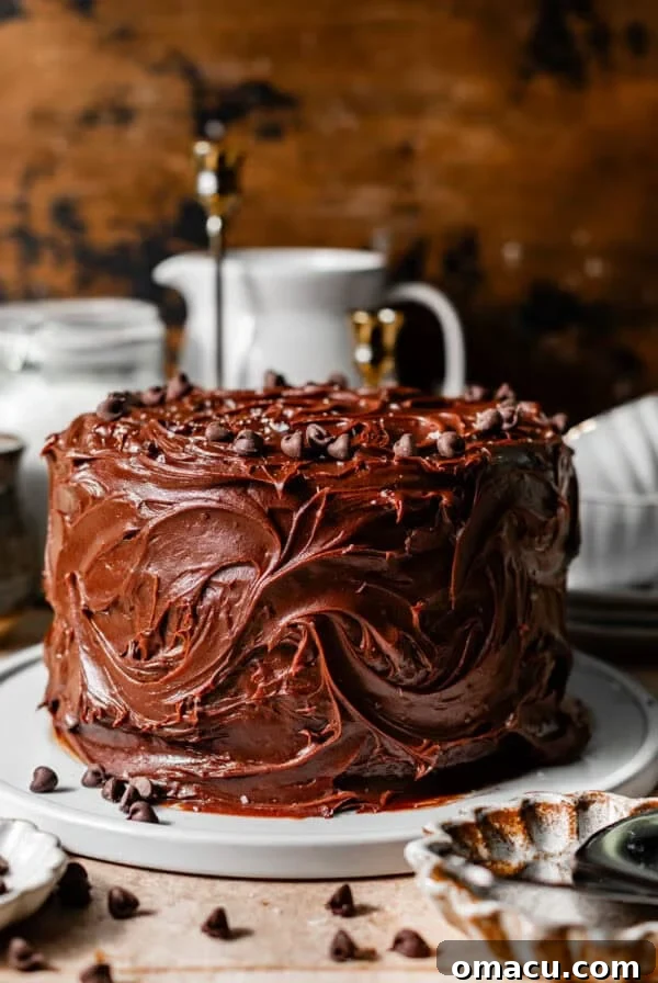 matilda chocolate cake on a white cake plate with chocolate chips and flake sea salt on top.