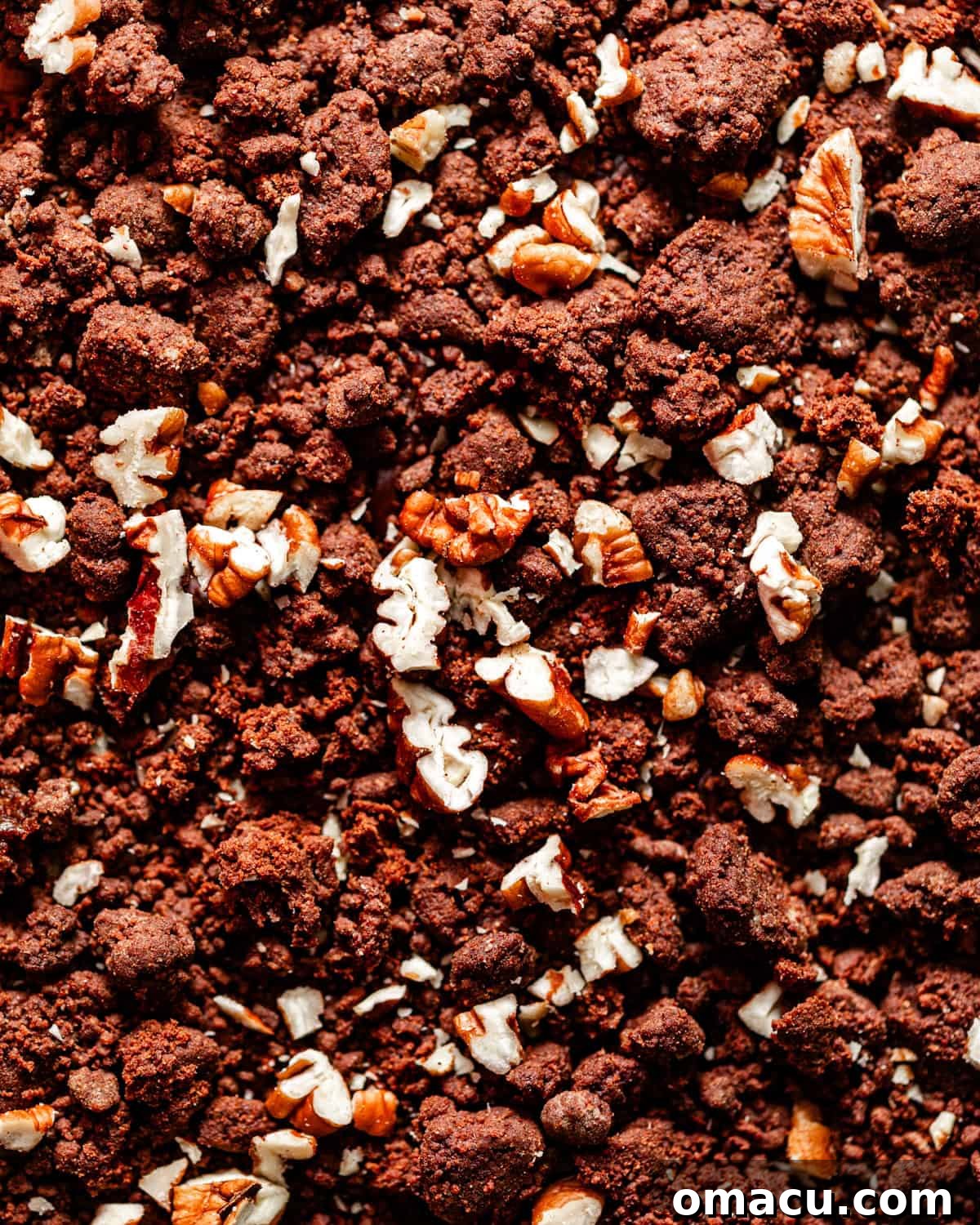 chocolate crunch topping with chopped pecans on a flat surface.