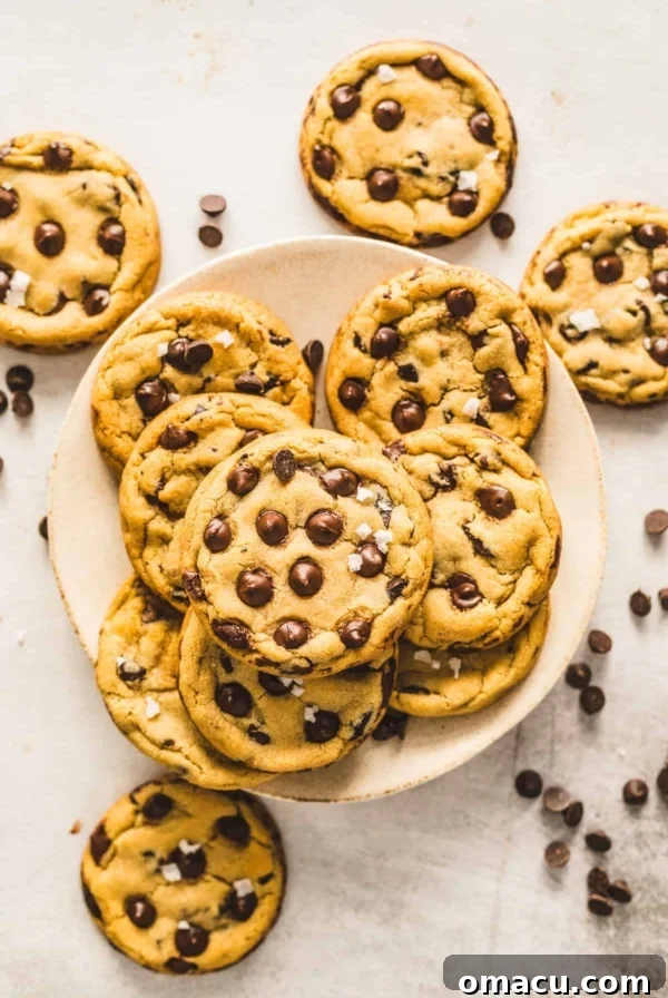 Zesty Lemon White Chocolate Chip Cookie Recipe 11 classic chocolate chip cookies in a plate.
