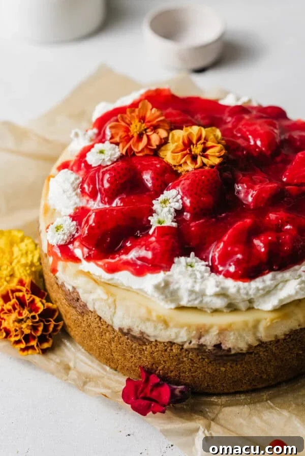strawberry cheesecake recipe garnished with whipped cream and strawberry sauce on top.