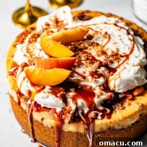 Salted Caramel Peach Cobbler Cheesecake Recipe 14 peach cobbler cheesecake on a white surface topped with peach cobbler, whipped cream, streusel, and salted caramel sauce.