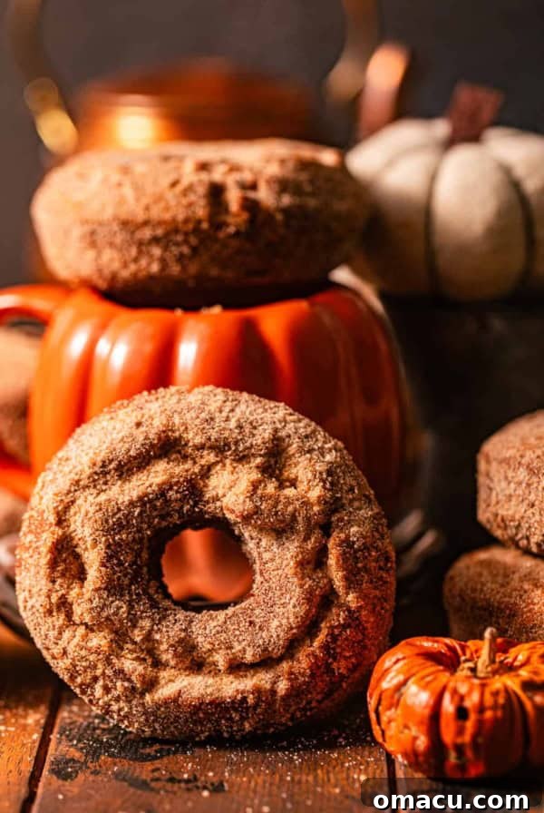 Classic Maple Cake Donuts Recipe 11 pumpkin spice donuts on a wooden table with a pumpkin mug and mini pumpkins.