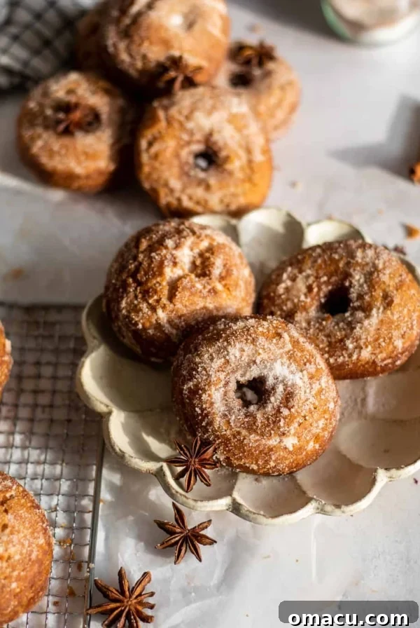 cinnamon sugar buttermilk donuts