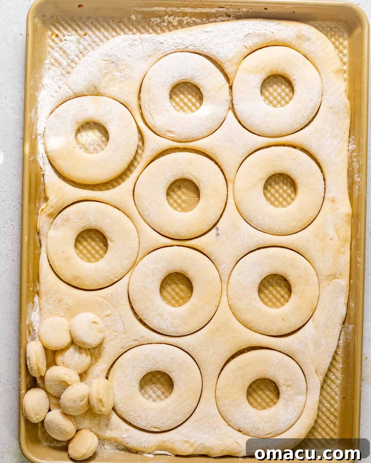 Yeast donut dough rolled out and cut into rings on a baking sheet before the second rise.