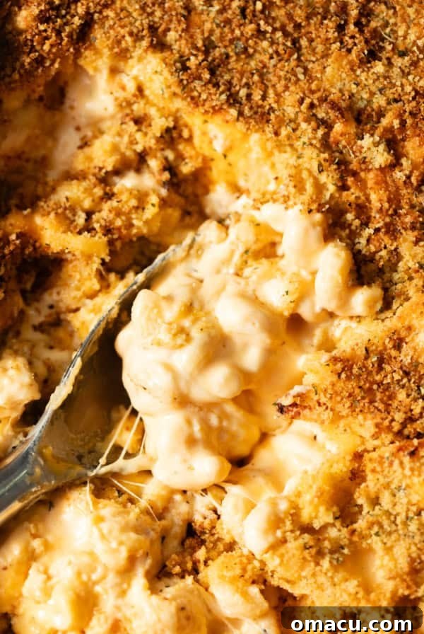 up close photo of mac and cheese in a baking dish with a serving spoon.