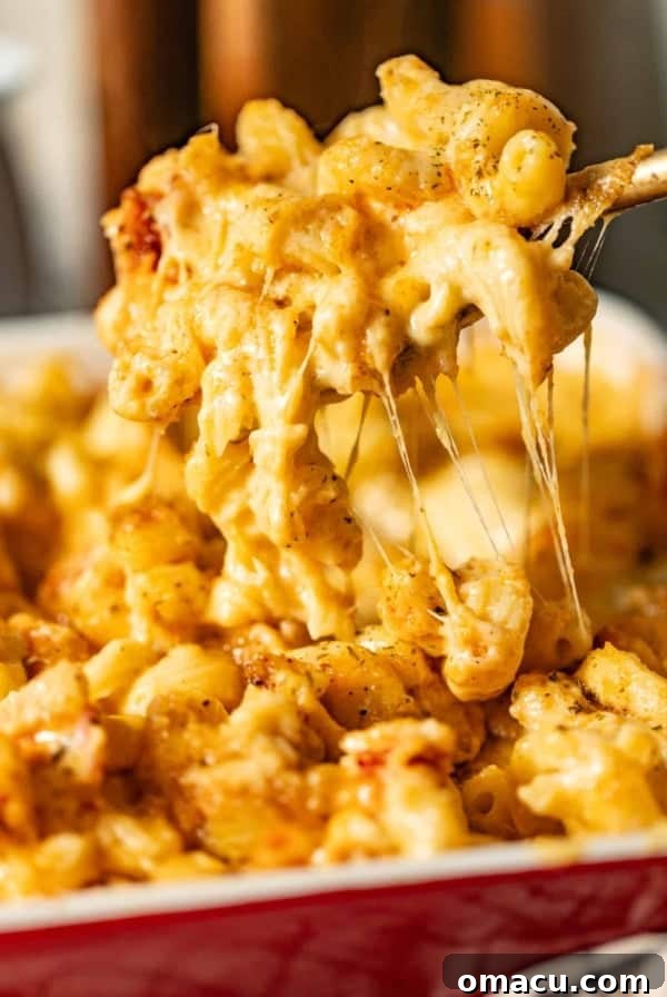 lobster mac and cheese in a casserole dish being scooped out onto a spoon so that you can see the cheese pull