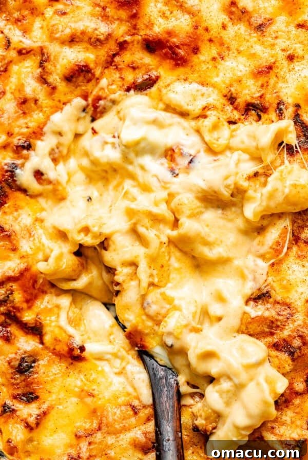 3 cheese mac and cheese in a baking dish.