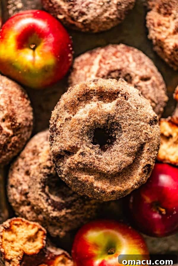 apple cider donuts on a tray with fresh apples.